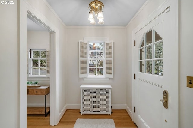 entryway featuring radiator and light wood-type flooring