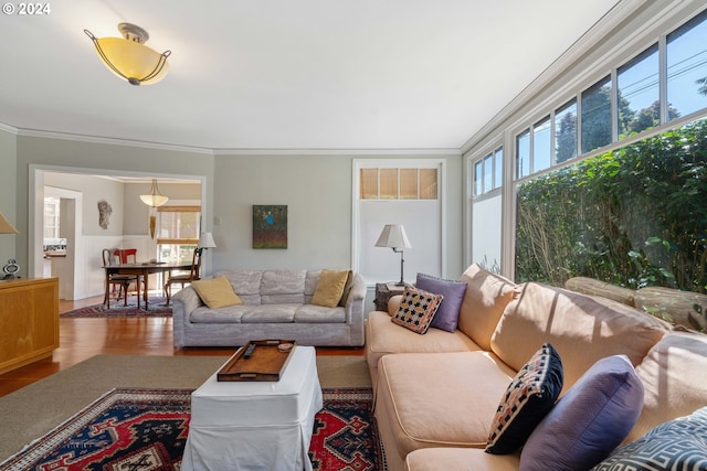 living room featuring crown molding and wood finished floors