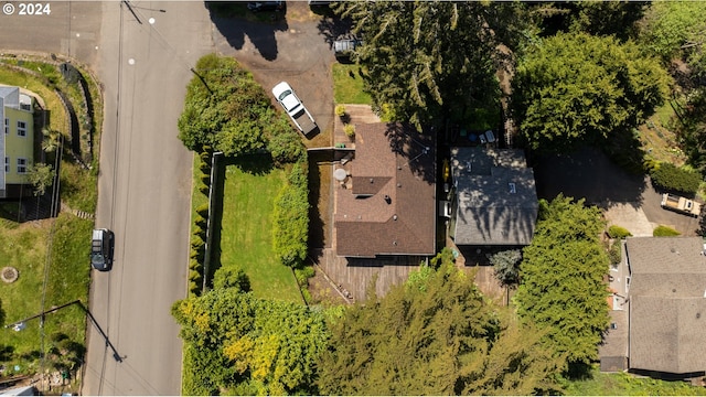 bird's eye view
