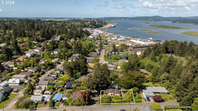 aerial view featuring a water view, a view of trees, and a residential view