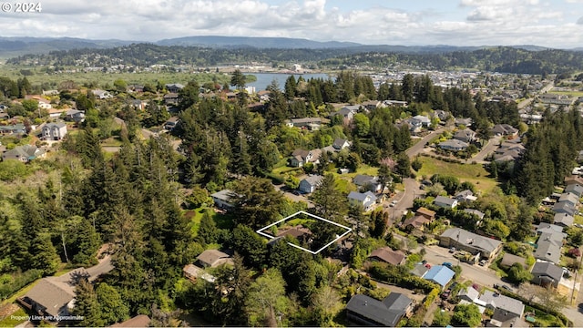aerial view featuring a view of trees and a water and mountain view