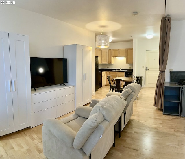 living room with light hardwood / wood-style flooring and sink