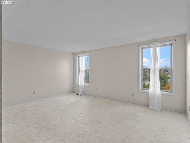 unfurnished room featuring a textured ceiling, light colored carpet, and a healthy amount of sunlight