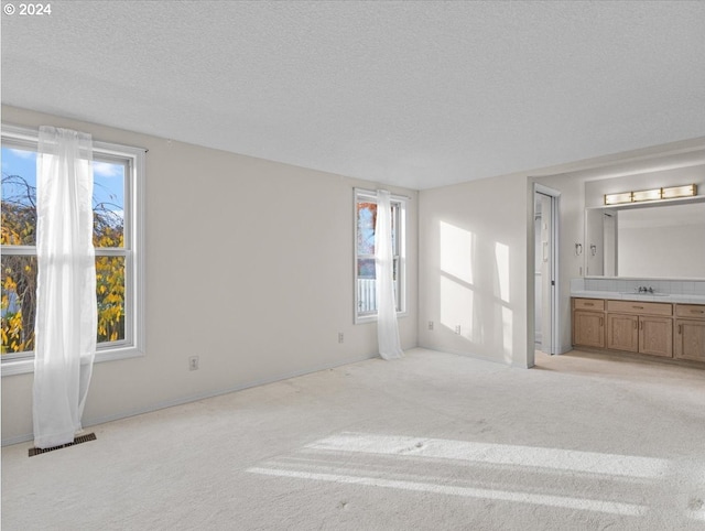 unfurnished room featuring sink, light colored carpet, and a textured ceiling