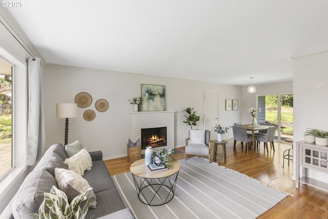 living area featuring baseboards, wood finished floors, and a fireplace