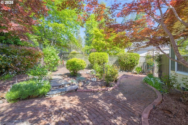 view of yard with a patio and a fenced backyard