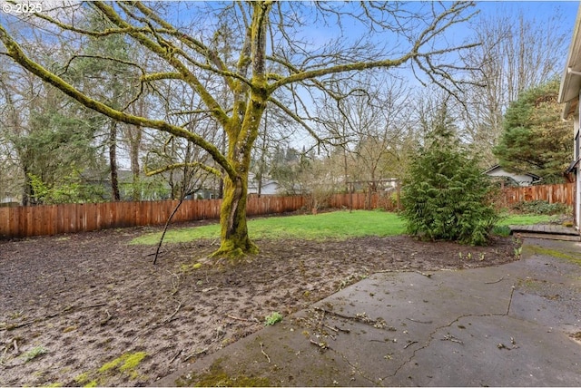 view of yard featuring a patio area and a fenced backyard