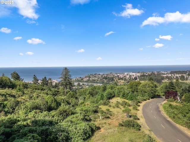 Crown Terrace Loop Unit 2, Brookings, OR 97415