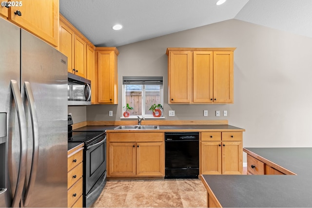 kitchen with vaulted ceiling, stainless steel appliances, and sink