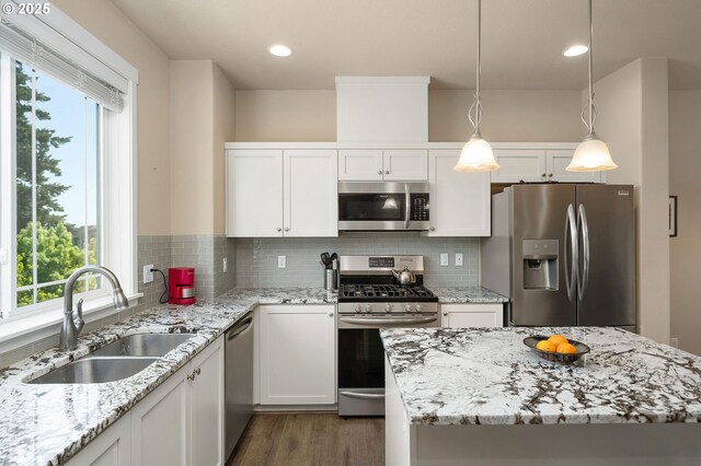 28683 SW Orleans Ave, Wilsonville, OR 97070 - kitchen featuring appliances with stainless steel finishes, a sink, wood finished floors, healthy amount of natural light, and recessed lighting