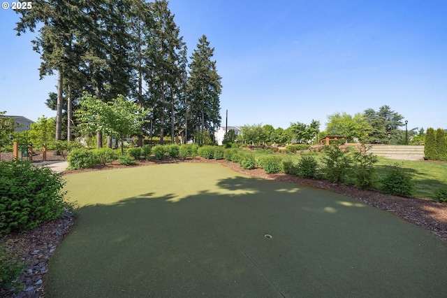 28683 SW Orleans Ave, Wilsonville, OR 97070 - view of yard featuring an area to practice putting