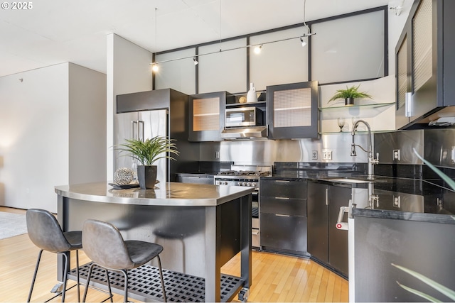 333 NW 9th Ave Unit 713, Portland, OR 97209 - kitchen with stainless steel counters, stainless steel appliances, light wood finished floors, a sink, and open shelves