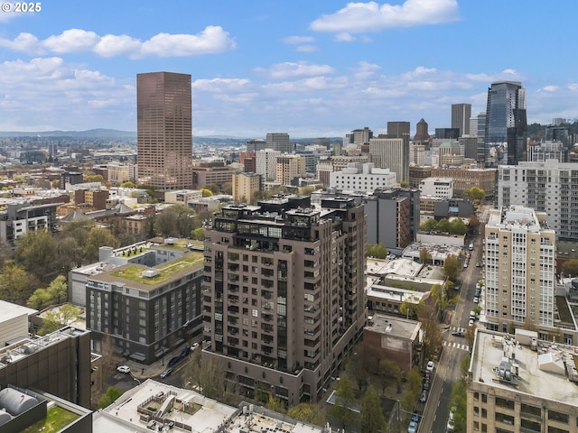 333 NW 9th Ave Unit 713, Portland, OR 97209 - skyline view