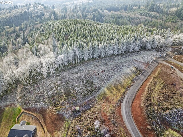 Listing photo 3 for 0 Dax Rd, Lot H, Castle Rock WA 98611