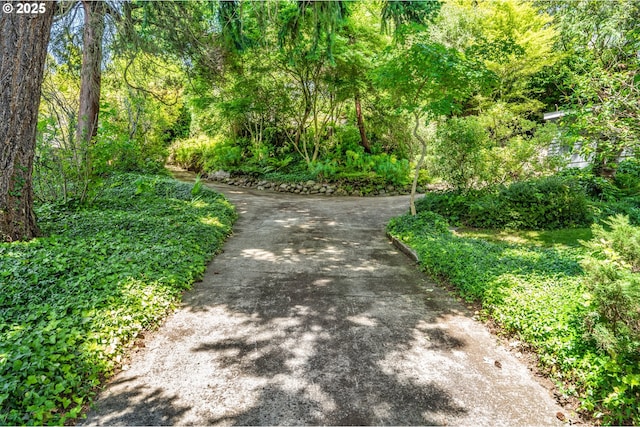 2783 NE Wiberg Ln, Portland, OR 97213 - surrounding community with a view of trees