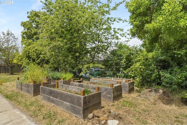 4919 NE 18th Ave, Portland, OR 97211 - view of yard with a garden