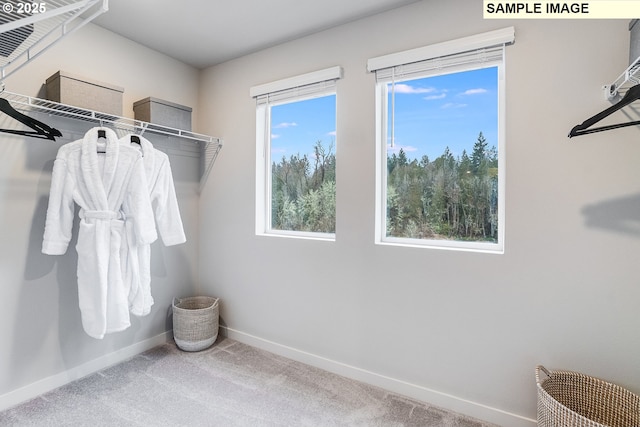 walk in closet featuring carpet flooring