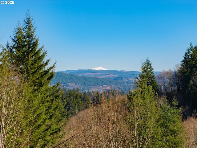 279 Trout Lakes Rd, Castle Rock WA, 98611 land for sale