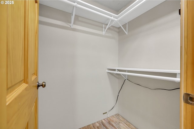 walk in closet with hardwood / wood-style floors