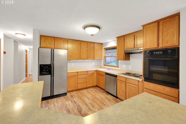 kitchen with sink, light hardwood / wood-style flooring, and stainless steel appliances