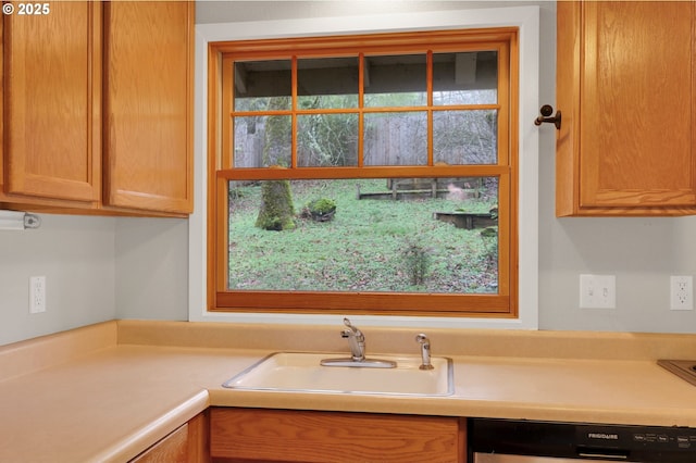 kitchen with sink and dishwasher