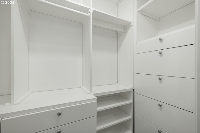 view of walk in closet