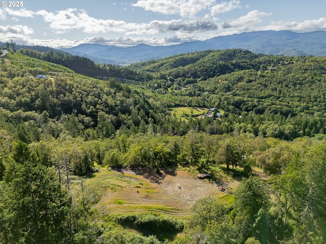 460 Huckleberry Mt Ln, Riddle, OR 97469 - mountain view featuring a forest