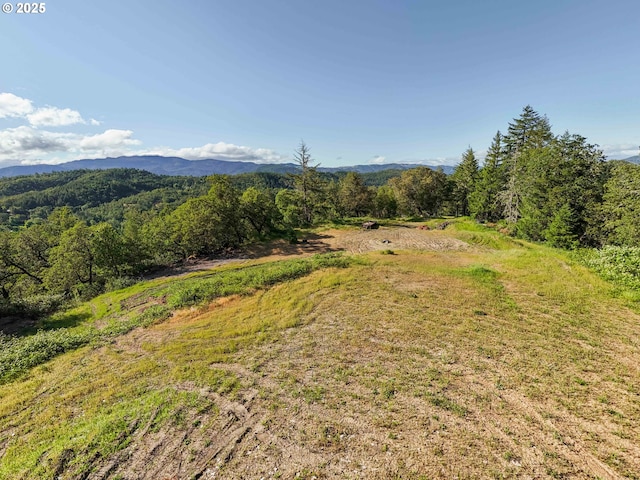 460 Huckleberry Mt Ln, Riddle, OR 97469 - mountain view with a forest