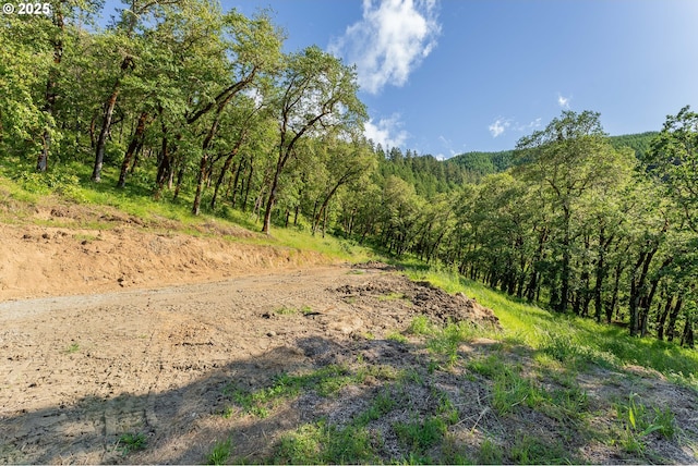 460 Huckleberry Mt Ln, Riddle, OR 97469 - view of tree filled area