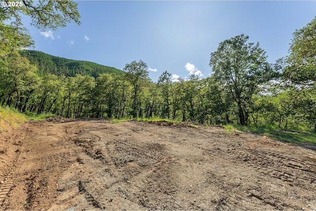460 Huckleberry Mt Ln, Riddle, OR 97469 - view of woods