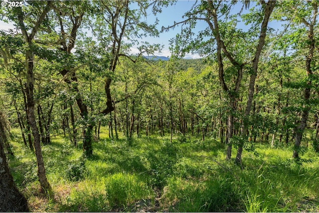 460 Huckleberry Mt Ln, Riddle, OR 97469 - view of wooded area