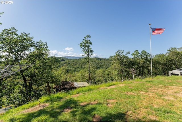 460 Huckleberry Mt Ln, Riddle, OR 97469 - view of yard featuring a view of trees