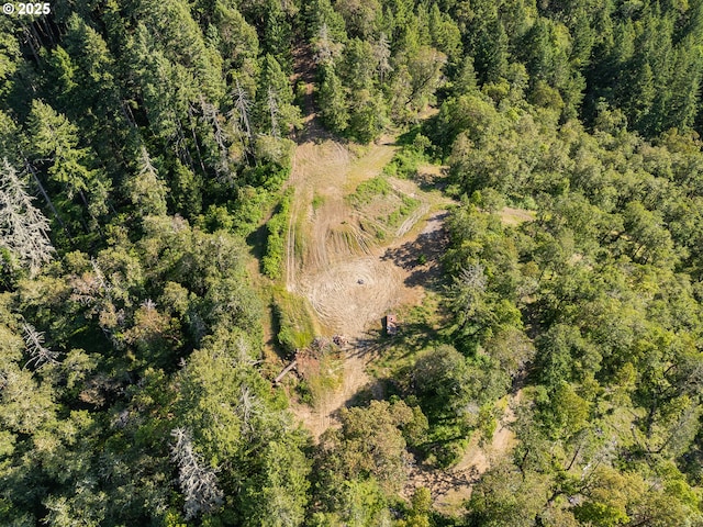 460 Huckleberry Mt Ln, Riddle, OR 97469 - aerial view