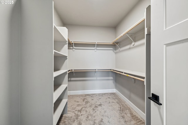 spacious closet featuring light carpet