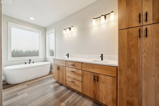 bathroom with a washtub, vanity, and hardwood / wood-style floors