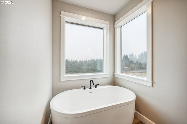 bathroom featuring a bathtub