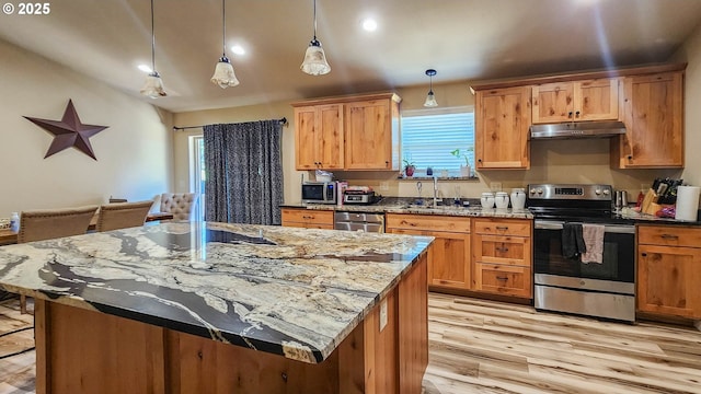 5135 Grange Rd, Roseburg, OR 97471 - kitchen with appliances with stainless steel finishes, under cabinet range hood, a sink, light wood-type flooring, and plenty of natural light