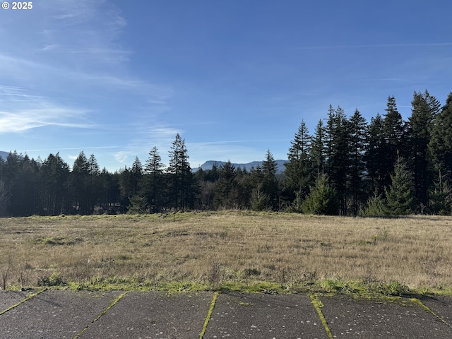 935 SW Spelling Pl Unit 17, Cascade Locks OR, 97014 land for sale