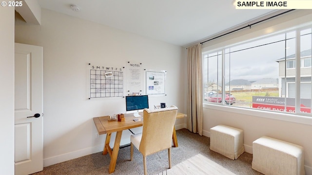office featuring carpet flooring and baseboards