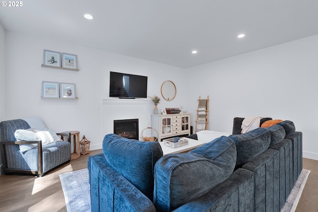 21773 SW Meadow Ter, Sherwood, OR 97140 - living room featuring a glass covered fireplace, wood finished floors, and recessed lighting