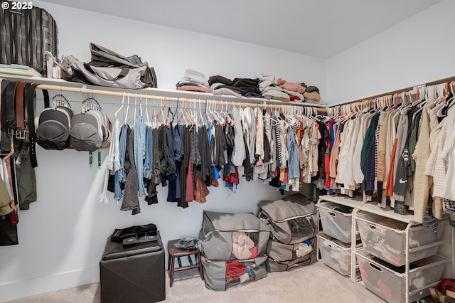 21773 SW Meadow Ter, Sherwood, OR 97140 - spacious closet with carpet
