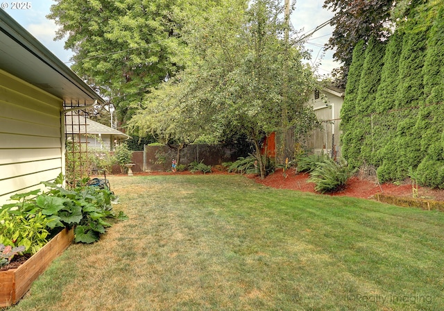 view of yard featuring a garden and a fenced backyard