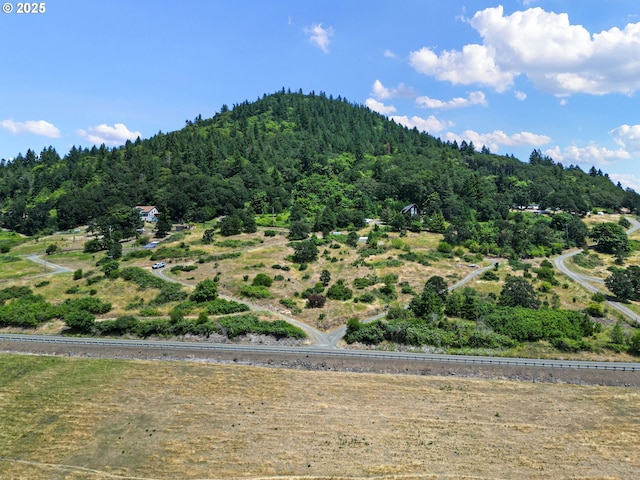 29015 Brownsville Rd, Brownsville, OR 97327