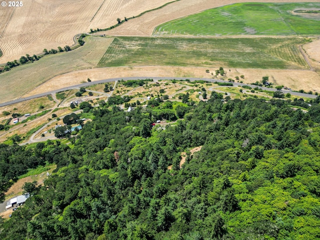29015 Brownsville Rd, Brownsville, OR 97327