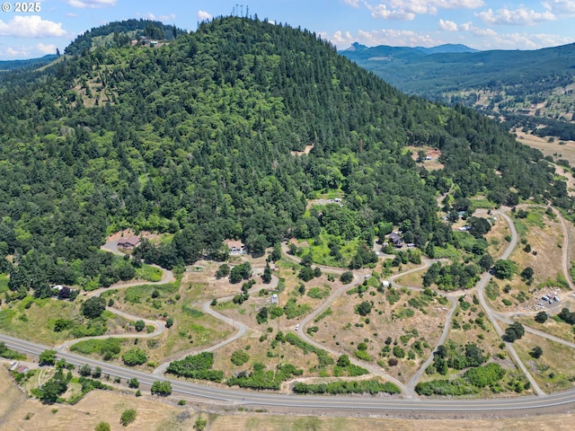 29015 Brownsville Rd, Brownsville, OR 97327