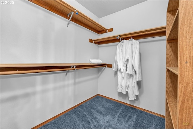 spacious closet with carpet flooring