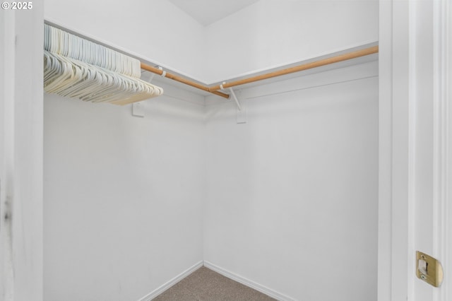 walk in closet featuring carpet floors