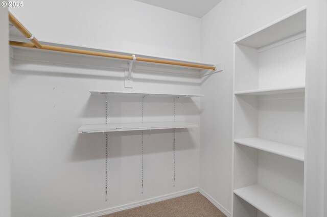 spacious closet with carpet floors