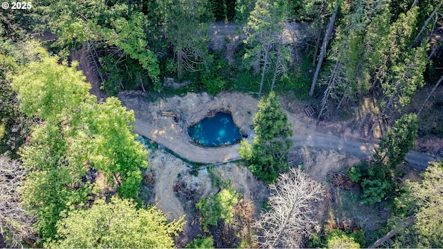 1950 Byron Creek Rd, Winston, OR 97496 - drone / aerial view
