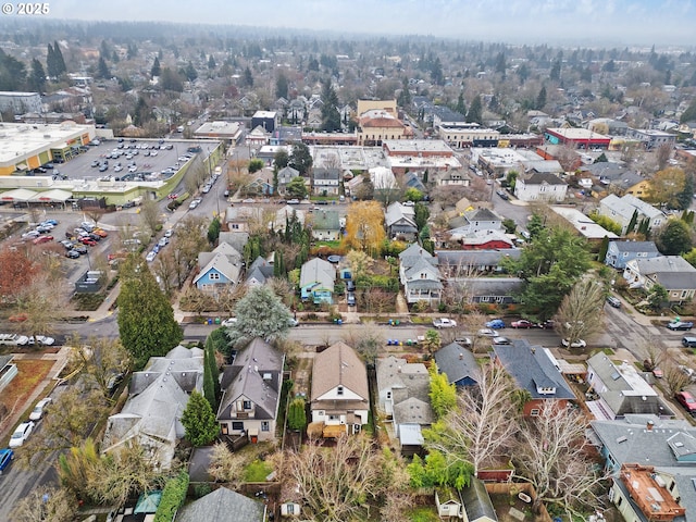 bird's eye view